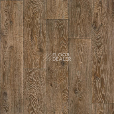 Линолеум Tarkett Evolution Raymond 4 фото 1 | FLOORDEALER